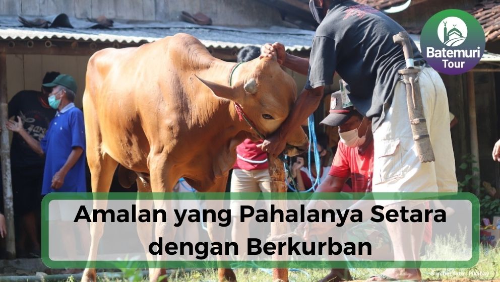 Berikut Amalan-amalan Ibadah yang Pahalanya Setara dengan Pahala Berkurban